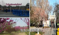 南京梅花山驢友相冊