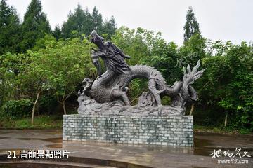 南充閬中天宮院風水文化景區-青龍照片