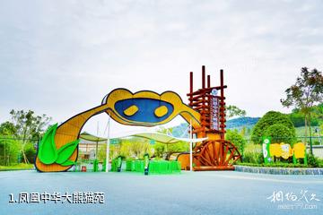 凤凰中华大熊猫苑照片