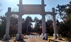 日照御海湾生态观光茶园驴友相册