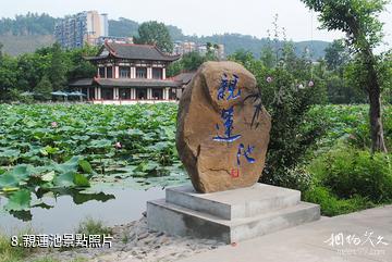 宜賓天池公園-親蓮池照片