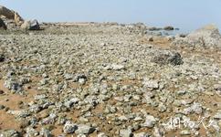 天津古海岸與濕地國家級自然保護區旅遊攻略之牡蠣礁
