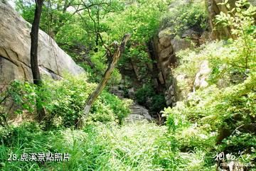 平度大澤山風景區-虎溪照片