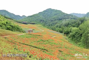 西安周至秦岭国家植物园-花卉引种试验区照片