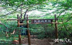 淄博云明山旅游攻略之天然盆景園