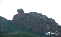 呼和浩特大青山国家级自然保护区旅游攻略之龟石