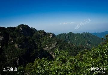 汉中天台森林公园-天台山照片
