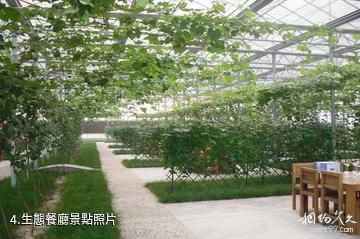 天津濱海茶淀葡萄科技園-生態餐廳照片