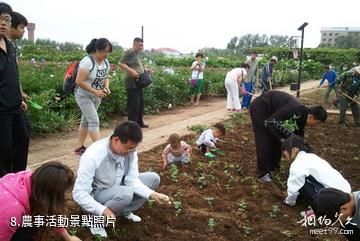 黑龍江農業經濟職業學院芍菊古苑景區-農事活動照片