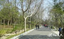 徐州彭祖园旅游攻略之山林区