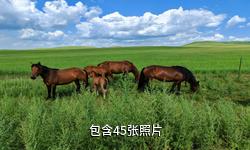 西乌旗乌兰五台旅游景区驴友相册