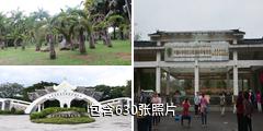 西双版纳热带花卉园驴友相册