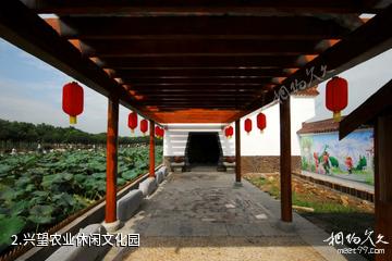 宜兴兴望农业休闲文化园-兴望农业休闲文化园照片