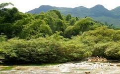 贵州平塘旅游攻略之水上森林