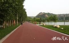 三门峡黄河公园旅游攻略之自行车赛道