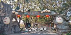 上海联怡枇杷乐园驴友相册