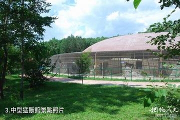 北方森林動物園-中型猛獸館照片