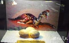 吉林朱雀山国家森林公园旅游攻略之恐龙蛋