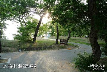 大慶大廟風景名勝區-榆林公園照片