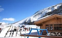 瑞士鐵力士雪山旅遊攻略之滑雪