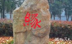 合肥工業(yè)大學(xué)校園概況之屯溪路校區(qū)石刻