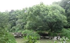 江山须江公园旅游攻略之瑶池
