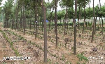 安徽禾泉農莊-植樹區照片
