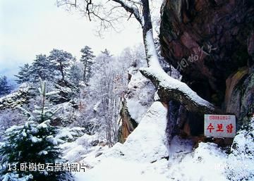 吉林仙景颱風景名勝區-卧樹包石照片