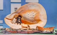 坦佩雷姆明谷博物館旅遊攻略之大貝殼