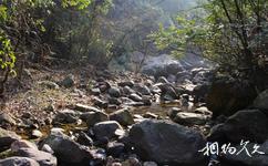 杭州大奇山國家森林公園旅遊攻略之奇石