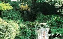 杭州西湖旅遊攻略之黃龍洞
