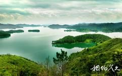 新丰江国家森林公园旅游攻略之鳄鱼岛