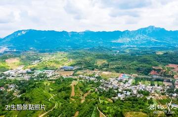 成縣陳院生態園景區-生態照片