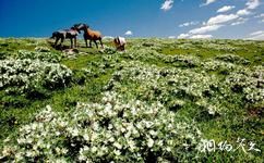寧武管涔山國家森林公園旅遊攻略之駱駝石峰