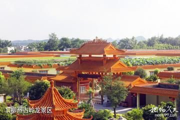 柳州古岭龙景区照片