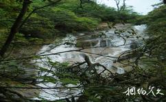 廣西貓兒山國家級自然保護區旅遊攻略之龍塘江瀑布