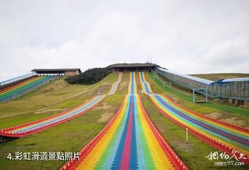 畢節百里杜鵑跳花坡景區-彩虹滑道照片