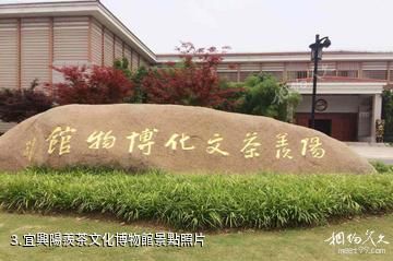 宜興雲湖風景區-宜興陽羨茶文化博物館照片