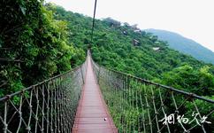 亞龍灣熱帶天堂森林公園旅遊攻略之過江龍索橋