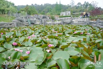 彭州中華蝴蝶生態城旅遊景區-蝴蝶谷照片