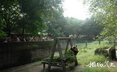 重庆动物园旅游攻略之熊猫馆