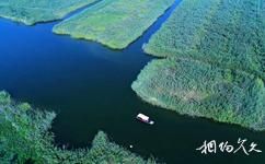 博興麻大湖旅遊攻略之濕地