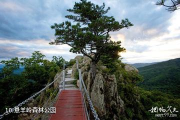 森工清河林区旅游景区-悬羊岭森林公园照片