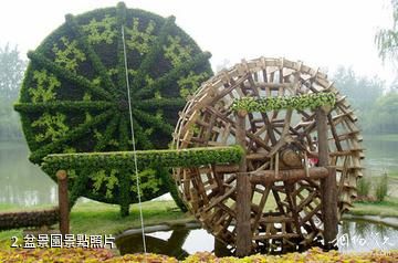 晉江世紀公園-盆景園照片