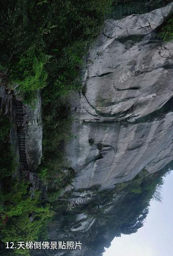 湖北挪步園景區-天梯倒佛照片