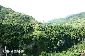 屏邊大圍山風景區-園林區照片