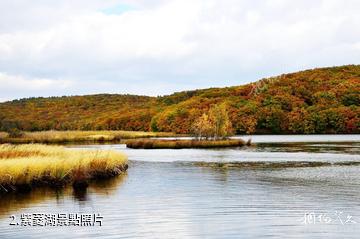 牡丹江紫菱湖旅遊區-紫菱湖照片