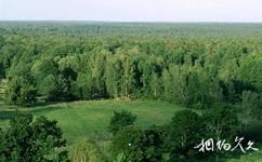 白俄罗斯别洛韦日自然保护区旅游攻略