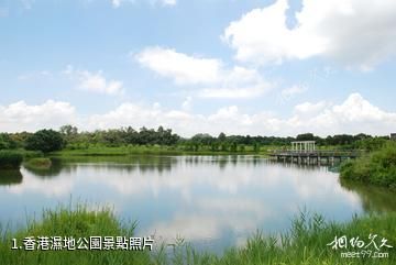 香港濕地公園照片