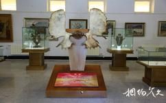 黑河瑗琿歷史陳列館旅遊攻略之金屬雕塑